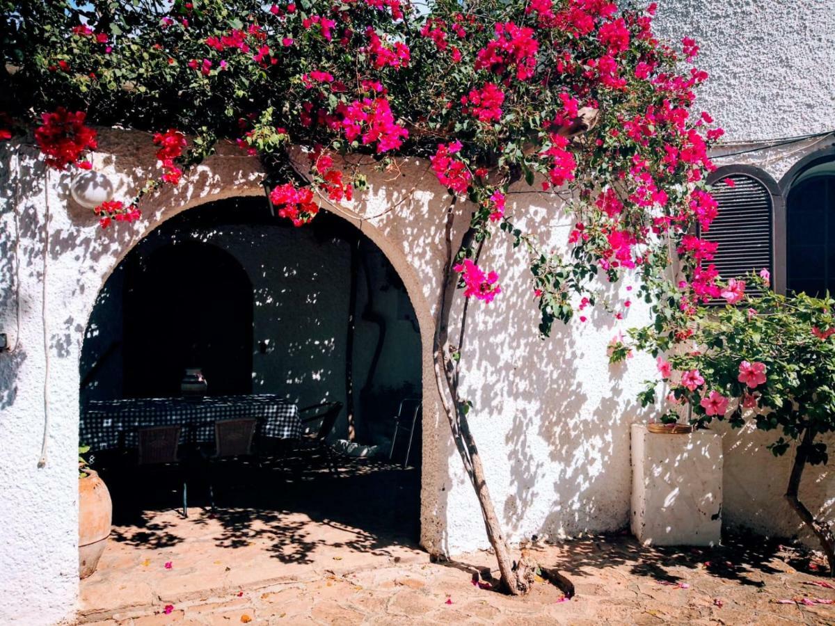 Casas Rurales Cortijo Torreblanca Parque Cabo De Gata El Pozo de los Frailes Exterior photo